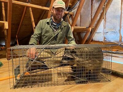 Saint Paul pest control